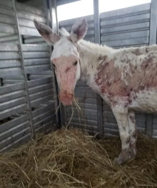 FB_IMG_1691244773179